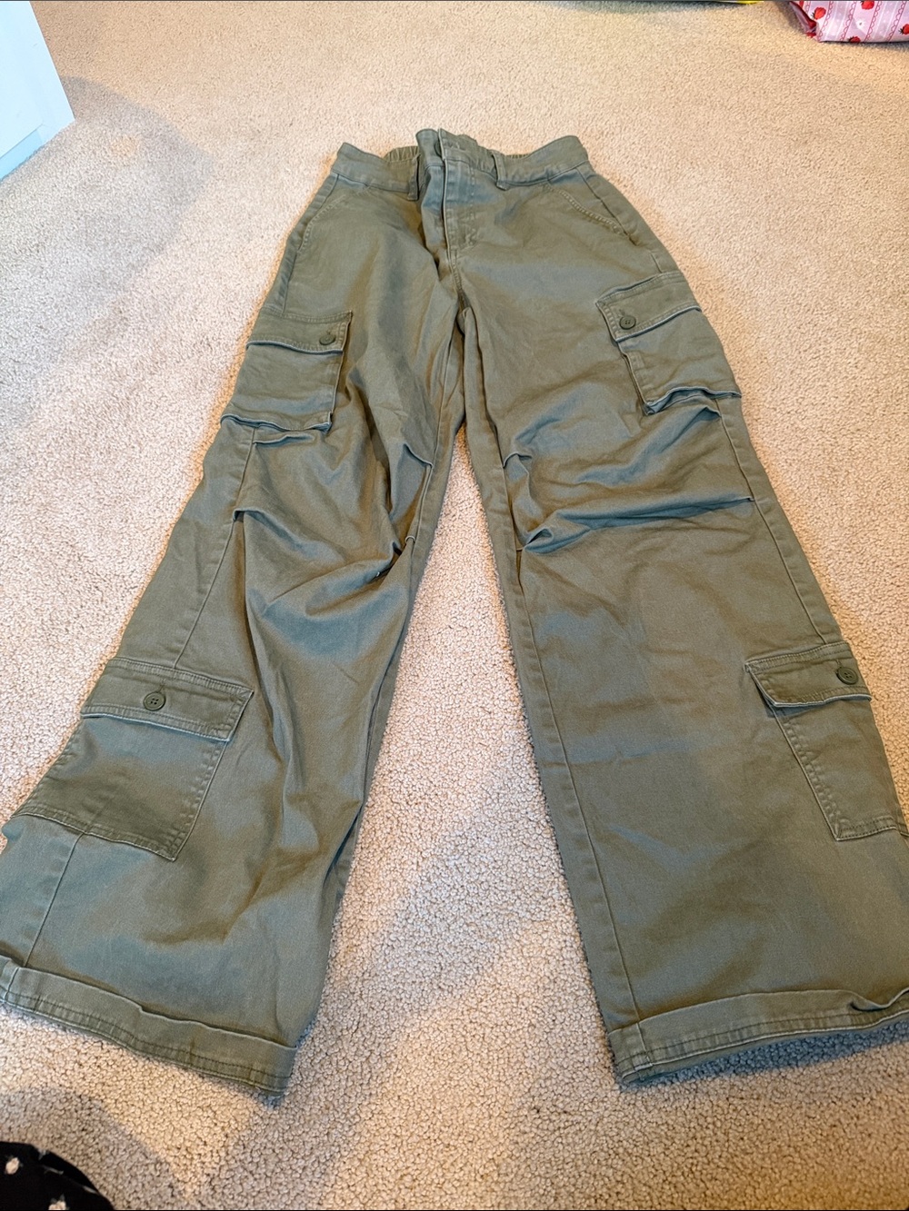 wild fable Olive Green Straight-Leg Cargo Pants